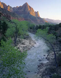 ZION NATIONAL PARK, UTAH. USA. The Watchman at sunset above Virgin River in spring