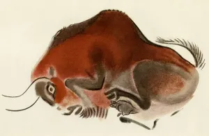 Cave Painting Prints: Print of a charging buffalo from Altamira cave, Spain