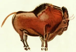 Cave Painting Prints: Prehistoric Bull Print, Altamira Cave Art