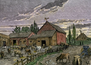 Canadian farm on the frontier, 1800s Canadian farm on the frontier, 1800s
