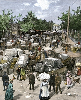 Cotton bales brought into a Georgia market town, 1880s Cotton bales brought into a Georgia market town, 1880s