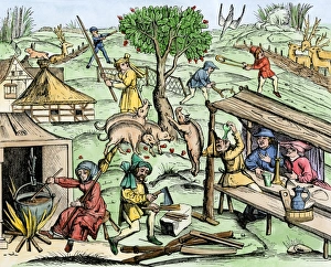 Country life in medieval Europe Country life in medieval Europe