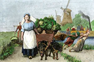 Pull Gallery: Dutch canal and tow-path, 1800s