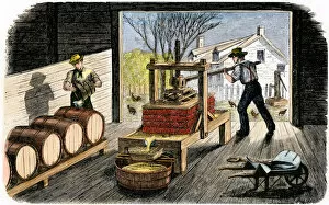 Farmers making apple cider, 1800s