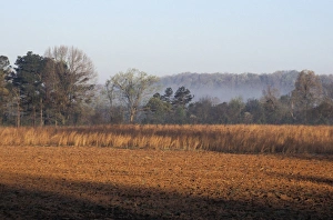 Field of red clay soil in Alabama Field of red clay soil in Alabama