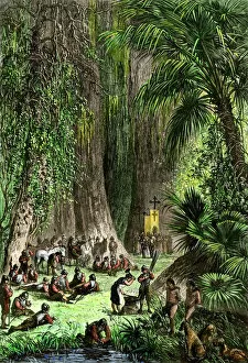 Florida explored by De Soto, 1539