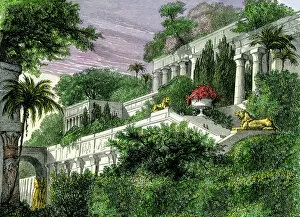 Antiquity Collection: Hanging Gardens of Babylon