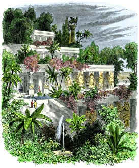 Ancient History Collection: Hanging gardens of Babylon