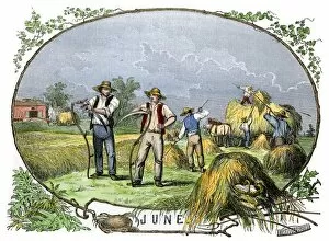 Hay harvest, 1800s