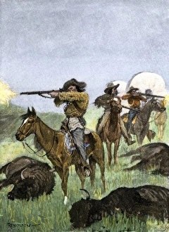 Hunting buffalo to feed a wagon train of pioneers Hunting buffalo to feed a wagon train of pioneers
