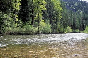 Lolo Creek in the Bitterroot Range, Montana Lolo Creek in the Bitterroot Range, Montana