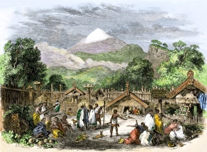 Maori village in New Zealand, 1800s Maori village in New Zealand, 1800s