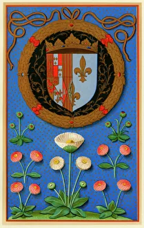 Marguerite de Navarres coat of arms Marguerite de Navarres coat of arms