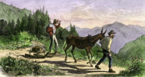 Moonshiners crossing the Appalachians with bootleg whiskey Moonshiners crossing the Appalachians with bootleg whiskey
