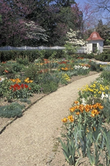 Mount Vernon spring flower garden Mount Vernon spring flower garden