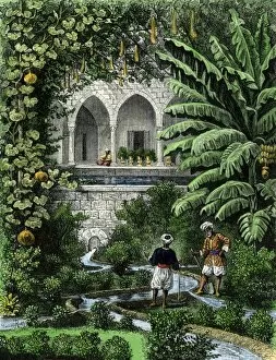 Mideast history Collection: Palestinian garden, 1800s