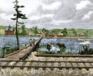 Prairie settlement along the transcontinental railroad Prairie settlement along the transcontinental railroad
