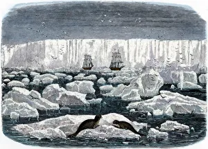 Ships off the Antarctic ice-shelf, 1800s Ships off the Antarctic ice-shelf, 1800s