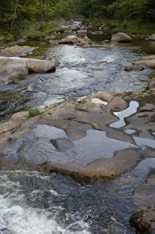 Stream in the White Mountains of New Hampshire and Maine Stream in the White Mountains of New Hampshire and Maine