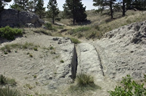 Wagon tracks on the Oregon Trail, Wyoming