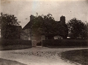 Sussex Gallery: 