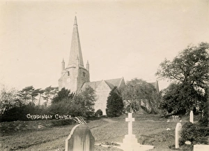 Sussex Gallery: 