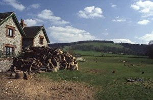 Cottage with wood stack, Stoughton, near Chichester Cottage with wood stack, Stoughton, near Chichester