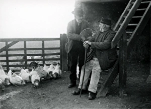 Two elderly gentlemen feeding chickens at a farm in Sussex Two elderly gentlemen feeding chickens at a farm in Sussex