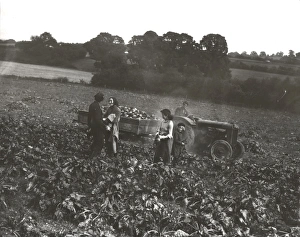 Sussex Gallery: Barlavington Collection