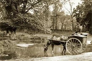 Images Dated 16th January 2009: Postman with horse-drawn cart, Findon, near Worthing