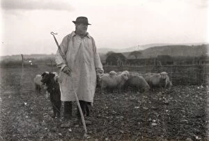 Images Dated 7th January 2011: Shepherd wearing a smock with his dog and sheep, January 1925