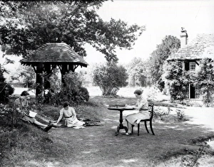 Sussex Gallery: Barns Green Collection