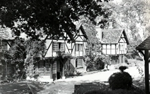 Sussex Gallery: Barns Green Collection