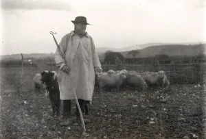 Prints of Shepherd wearing a smock with his dog and sheep, January 1925 George Garland Collection West Sussex Record Office Ref No: Garland N873 West Sussex Prints: Shepherd in Smock Print, 1925