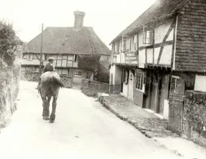 Prints of Young boy riding shire horse at Byworth, Sussex, c1931 George Garland Collection West Sussex Record Office Ref No: Garland N4842a West Sussex Prints: Young boy riding a Shire horse in Byworth, Sussex, c1931 Print