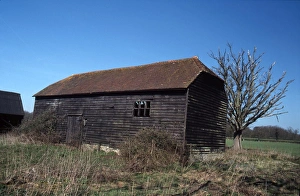 Sussex Gallery: 