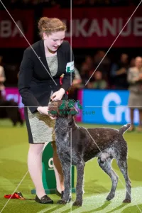<b class=qtipBold><figcaption>2nd Int Junior Handling from Canada</figcaption></b> 2nd Int Junior Handling from Canada