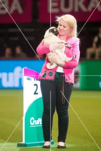 <b class=qtipBold><figcaption>2nd Place Junior Warrant</figcaption></b><br><em>© Yulia Titovets / The Kennel Club</em> 2nd Place Junior Warrant