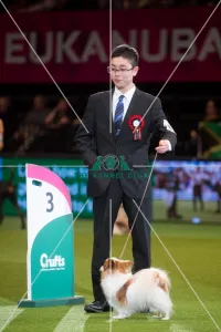 <b class=qtipBold><figcaption>3rd Int Junior Handling from Japan</figcaption></b> 3rd Int Junior Handling from Japan