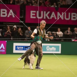 <b class=qtipBold><figcaption>3rd place from Austria</figcaption></b><br>The Kennel Club Crufts 2015 3rd place from Austria