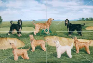 <b class=qtipBold><figcaption>Acklam Afghan Hounds</figcaption></b><br>Signed Oil on canvas This painting shows the Acklam Afghan Hounds bred by Mrs Howard Gibson. Ch Mitzou of Acklam is the top centre hound, shown with her litter, whelped in May 1946. The hounds are (clockwise) Ch Mitzou of Acklam, Ch Tanza of Acklam, Abu Zaid of Acklam, Gebel of Acklam, Zana of Acklam, Ch Mohammed Ali of Acklam, Int Ch Amunullah of Acklam. Acklam Afghan Hounds