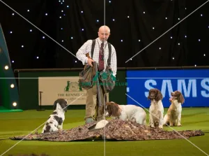 <b class=qtipBold><figcaption>Adrian Slater Gundog presentation</figcaption></b><br><em>© The Kennel Club</em> Adrian Slater Gundog presentation