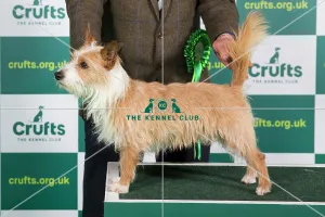 What's New: Crufts 2023 Collection