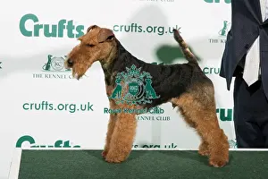 The Kennel Club Ltd The Kennel Club Ltd