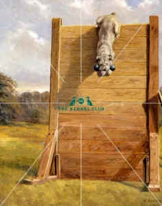 <b class=qtipBold><figcaption>Brenda of Ashways</figcaption></b><br>Canvas 20 x 16 ins. Brenda of Ashways was owned and bred by Captain Leslie Williams and successfully competed in Working Trials. She was by Ch.Bodo of Ashways, who was out of Ch.Cranbourne Lupin, the first Champion Schnauzer.<br><em>© The Kennel Club</em> Brenda of Ashways