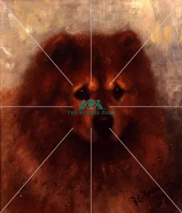 <b class=qtipBold><figcaption>Ch Chow VIII</figcaption></b><br>Canvas 14 x 12 ins. ChChow VIII was the first Champion in the breed. He passed through many hands during a long show career, one theory being his poor temperament, at times proving difficult to handle.<br><em>© The Kennel Club</em> Ch Chow VIII