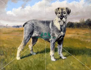 <b class=qtipBold><figcaption>Ch Cranbourne Lupin</figcaption></b><br>Canvas 16 x 20 ins. Ch Cranbourne Lupin was born in 1929, bred by Captain and Mrs.Hornyold, owned by Captain Leslie Williams and the first British Champion Schnauzer. She had a successful show career, winning 11 Challenge Certificates, including four at Crufts and was generally considered to be an outstanding example of the breed. She was the dam of three Champions.<br><em>© The Kennel Club</em> Ch Cranbourne Lupin