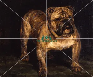 <b class=qtipBold><figcaption>Ch Tintagel</figcaption></b><br>Ch Tintagel was owned and bred by Mrs Surtees Monkland and was one of a number of famous Champion Bulldogs she owned. The artist, Frederick Thomas Daws, was born in London and studied at Lambeth School of Art. His earlier work was reproduced in such publications as the Illustrated London News and he exhibited his first picture a the Royal Academy in 1896. He found success not only in Britain but also in America and India. For the Maharajah of Nepal he painted 11 murals as well as sculptures. Although he is perhaps best known as a painter. He executed a number of pieces that were cast in bronze and for Royal Doulton he modelled most of the dogs in their Champion Dogs range.<br><em>© The Kennel Club</em> Ch Tintagel