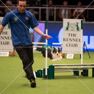 <b class=qtipBold><figcaption>Championship Agility main arena</figcaption></b><br>Championship Agility - Medium<br><em>© Yulia Titovets </em> Championship Agility main arena