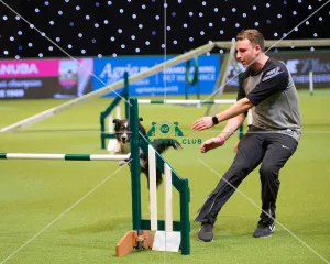 <b class=qtipBold><figcaption>Championship Agility main arena</figcaption></b><br>Championship Agility - Large - Final<br><em>© Yulia Titovets </em> Championship Agility main arena
